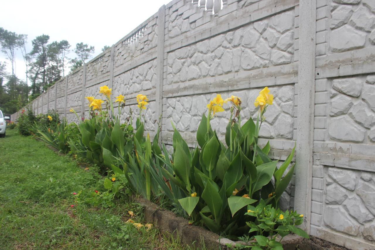 Hotel Ureki Exterior photo